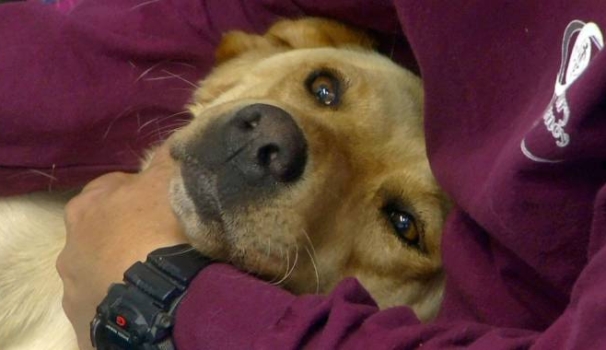 Abbraccio in una foto Ansa