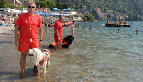 Walter Bonacina con il cane Artù (Sandonini)
