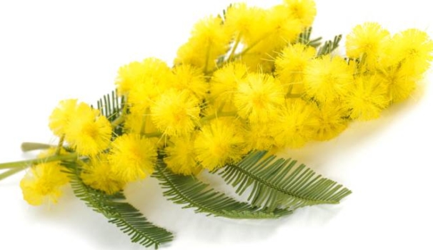 Foto: Alfio Scisetti / Alamy Foto: Alfio Scisetti / Alamy