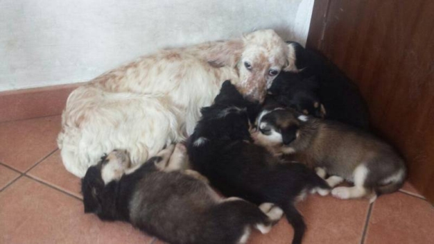 Adesso sono al riparo