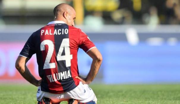 Risultati immagini per palacio bologna