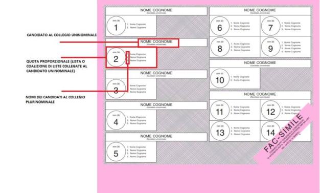 Com'è fatta la scheda elettorale