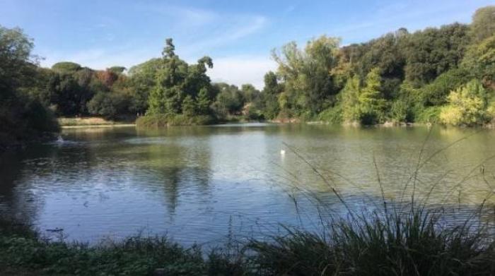 avian in rome an outbreak breaks out in the small lake of villa pamphili a swan has died breakinglatest news breaking latest news