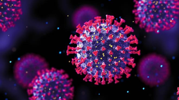 Covid y el pronóstico, Guido Silvestri ve una epidemia de frío – Crónica Covid y el pronóstico, Guido Silvestri ve una epidemia de frío – Crónica