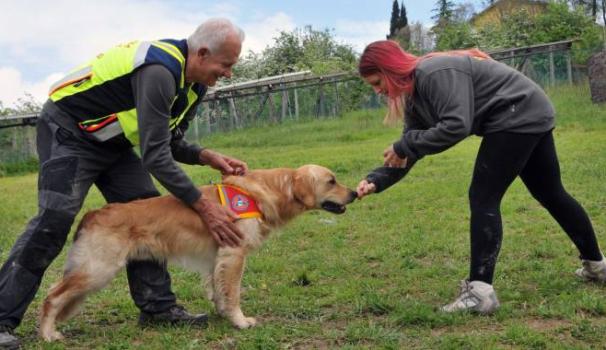 Lezioni con le unità cinofile per la Protezione civile