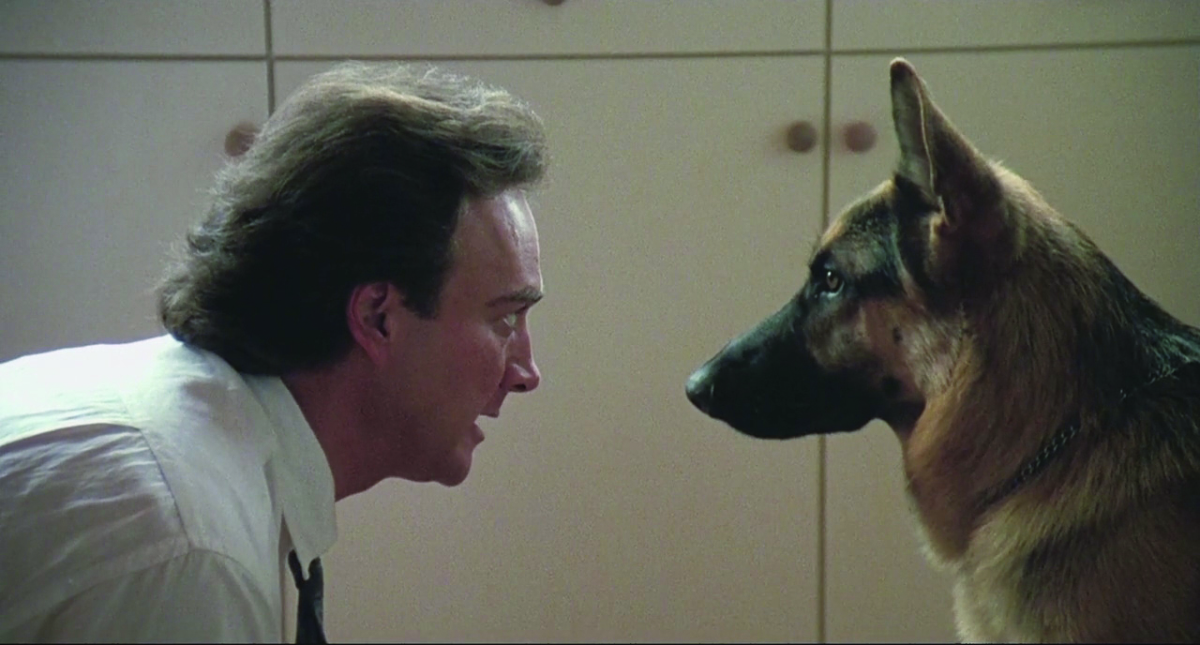 Un poliziotto a 4 zampe