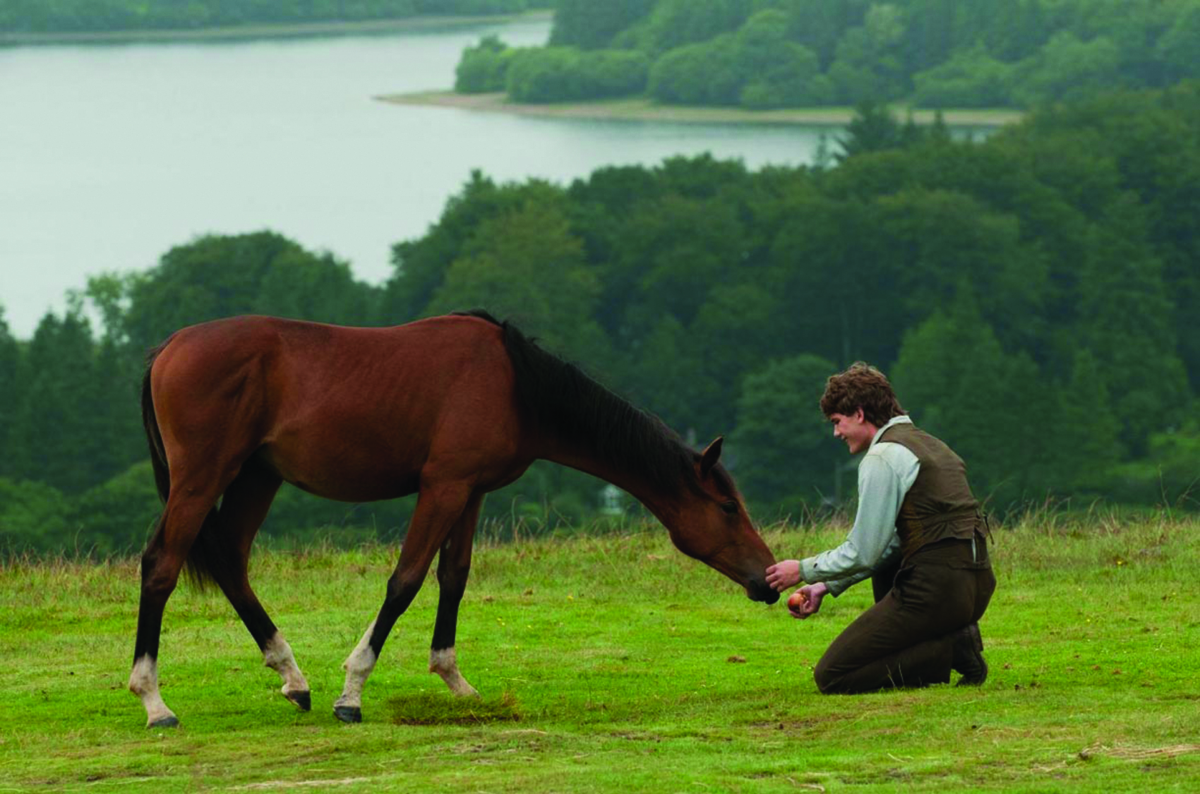 War Horse