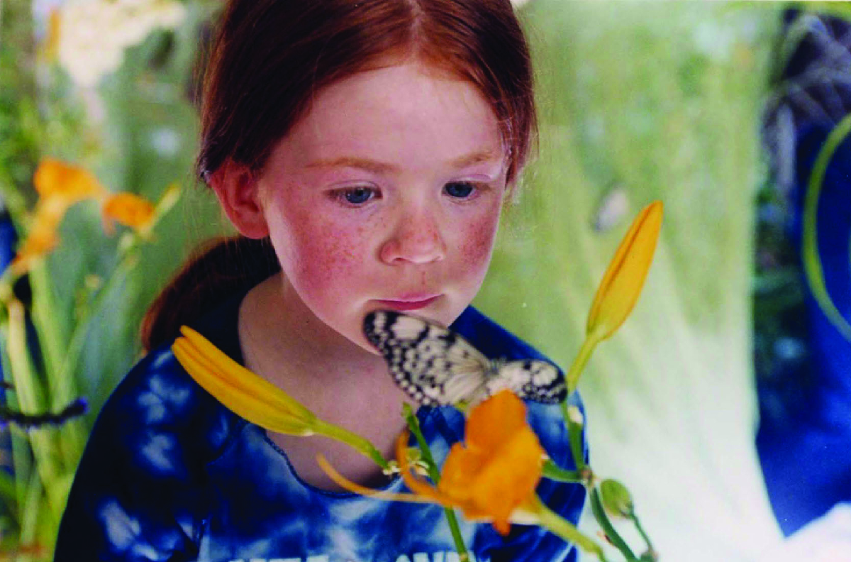 Il miracolo della farfalla