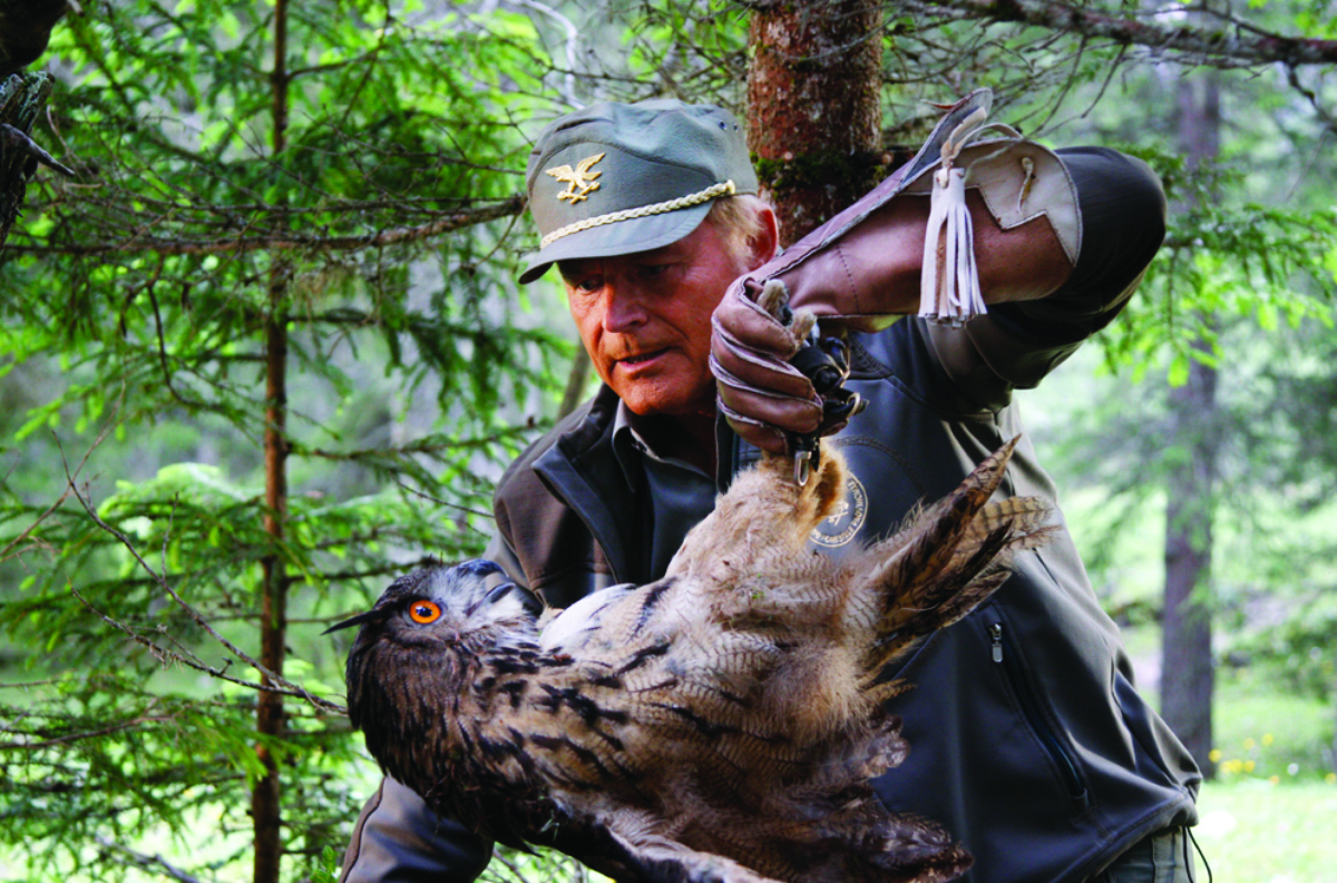 Un passo dal cielo 2