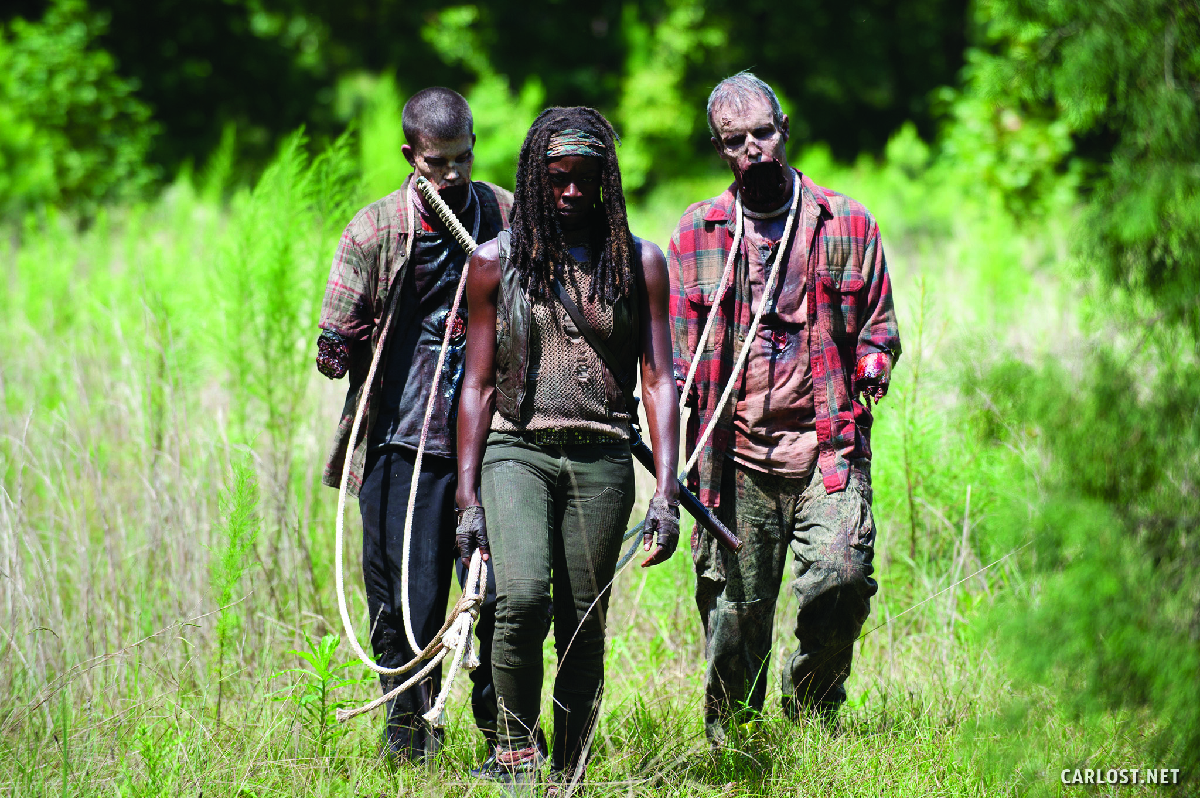 The Walking Dead-Smarriti