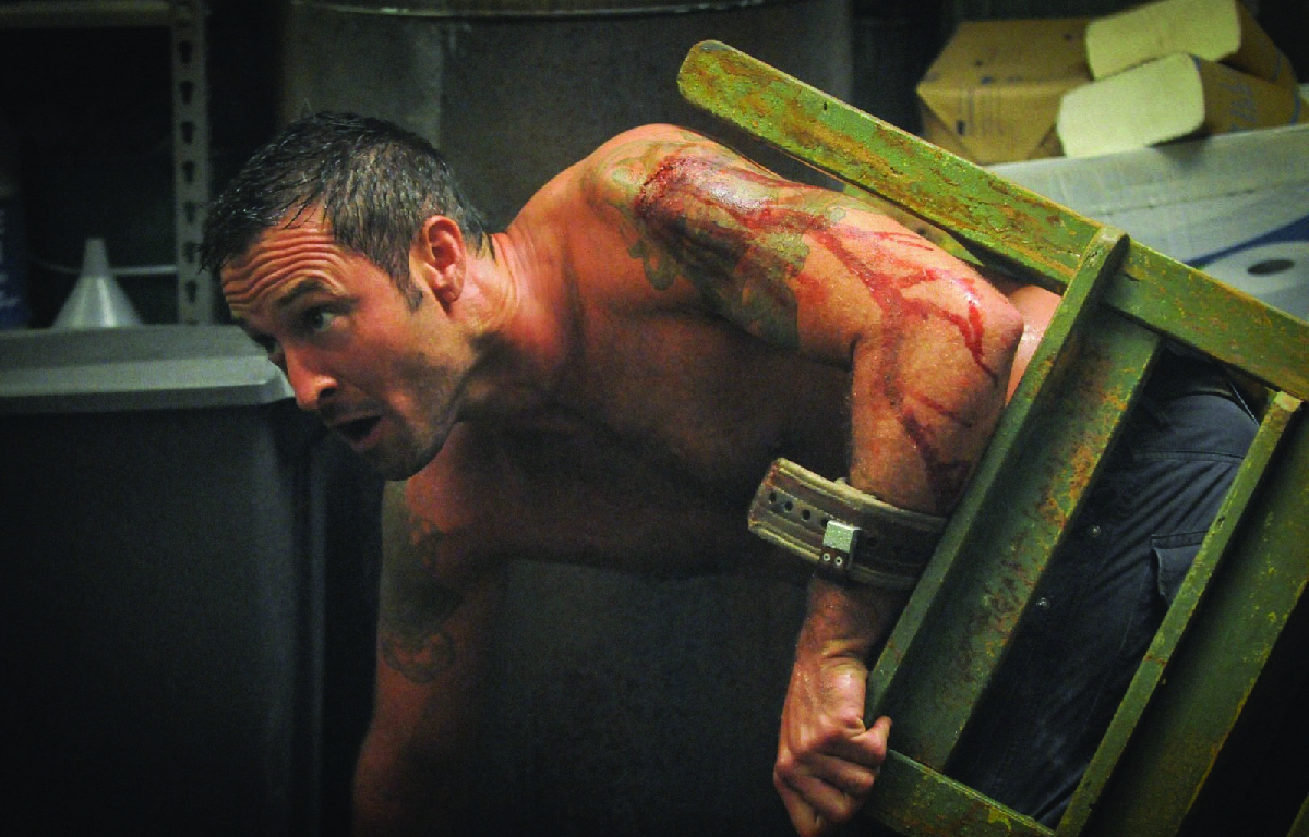 Hawaii Five-0-Se per caso...