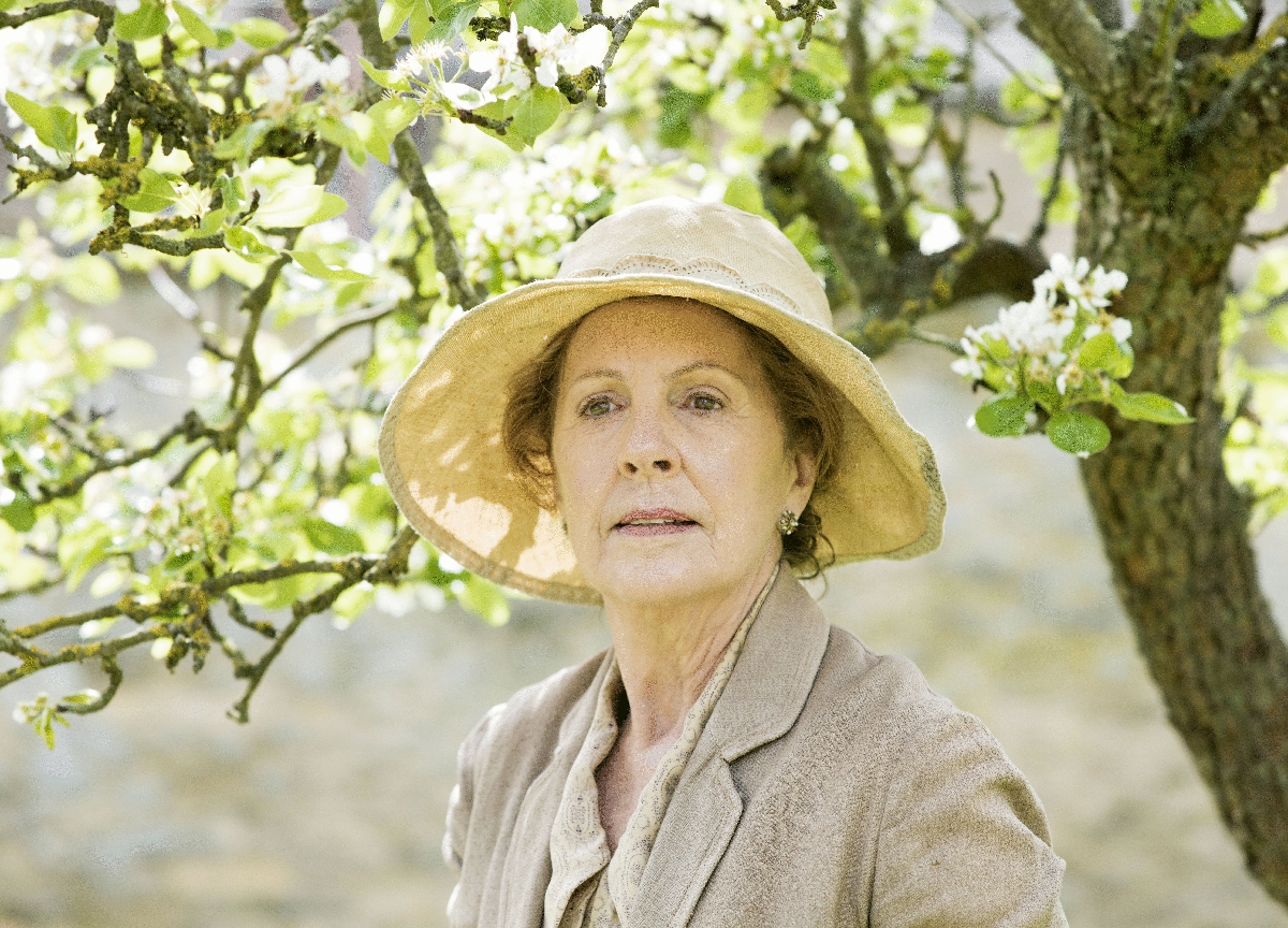 Downton Abbey V
