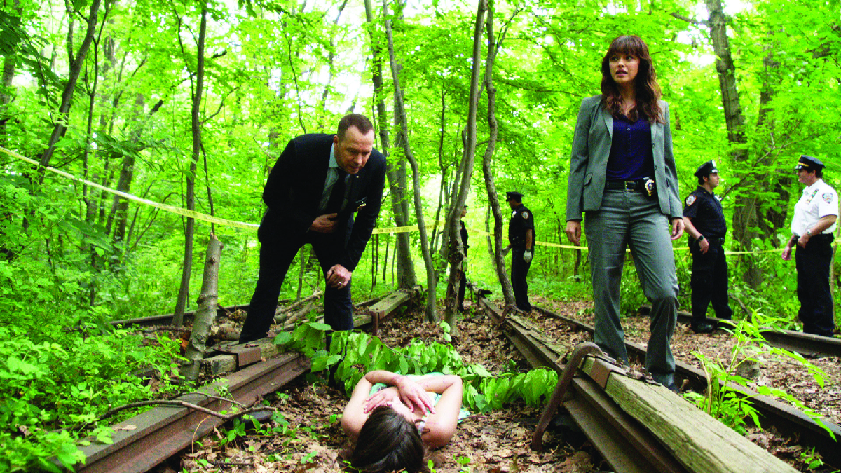 Blue Bloods-Potere assoluto