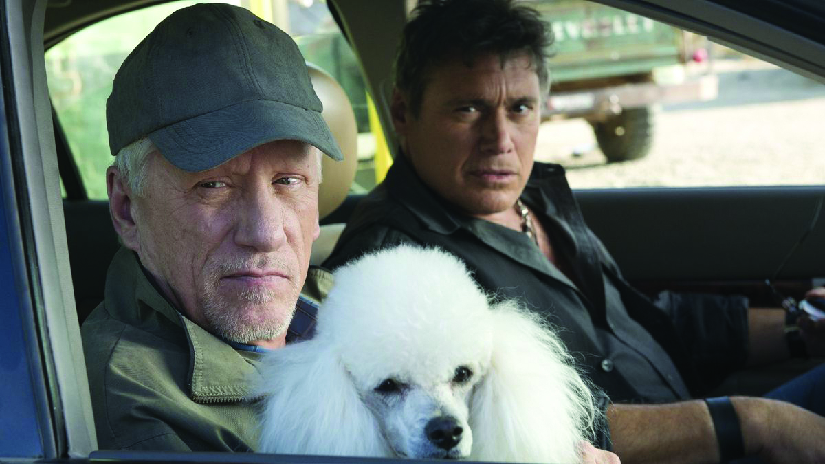Ray Donovan-In viaggio