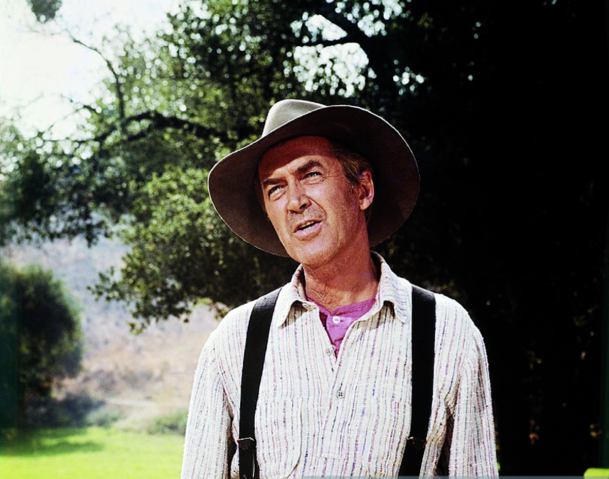 Shenandoah la valle dell'onore