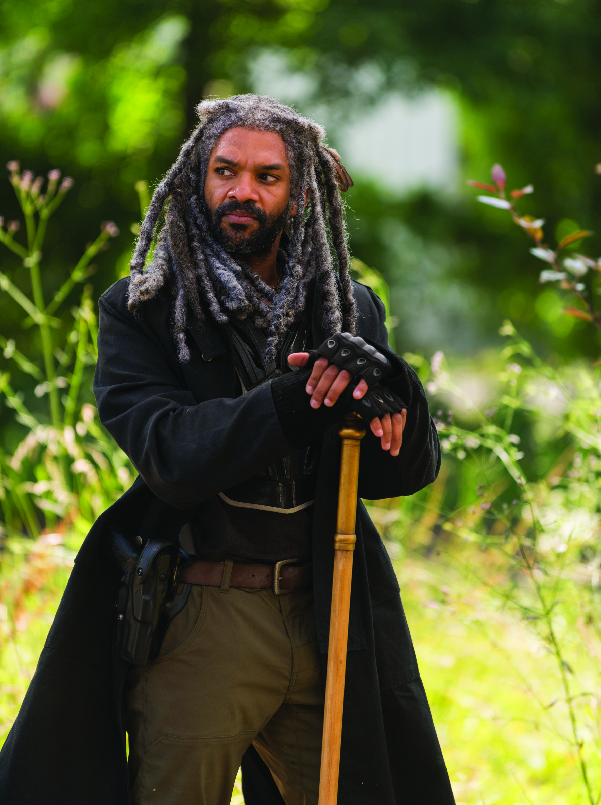 The Walking Dead-Il Regno