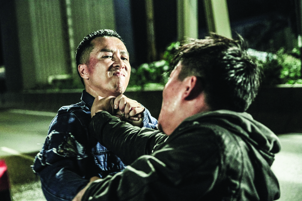 Kung Fu Jungle