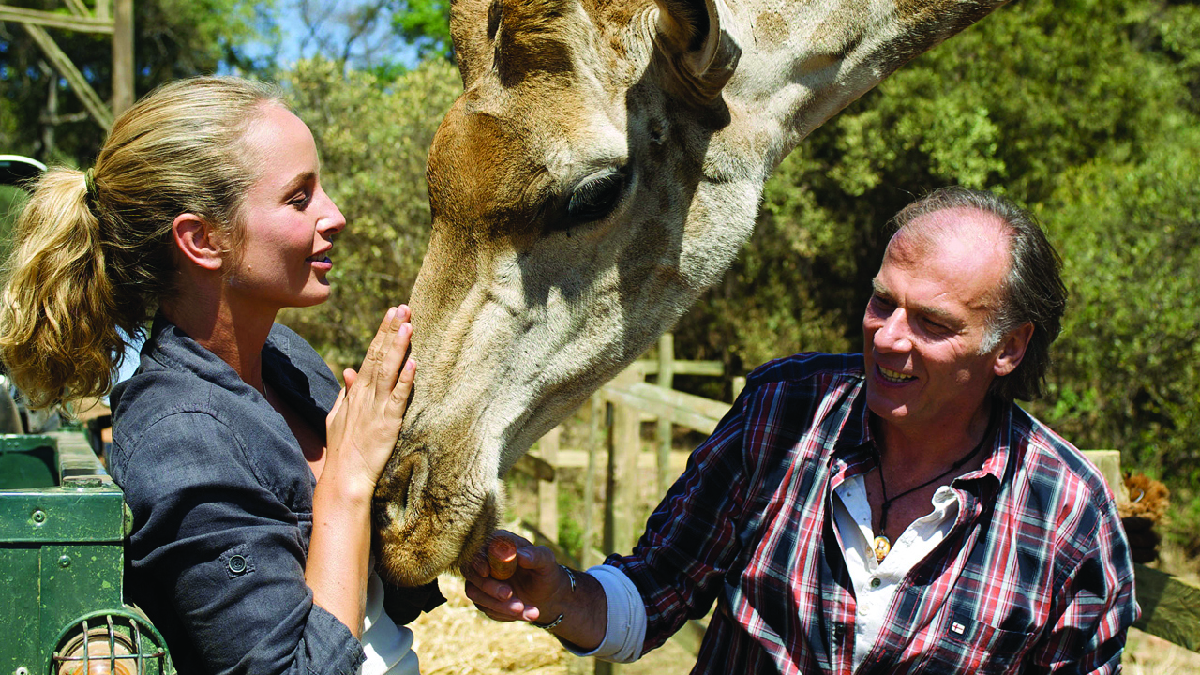 Dream Hotel: Città del Capo