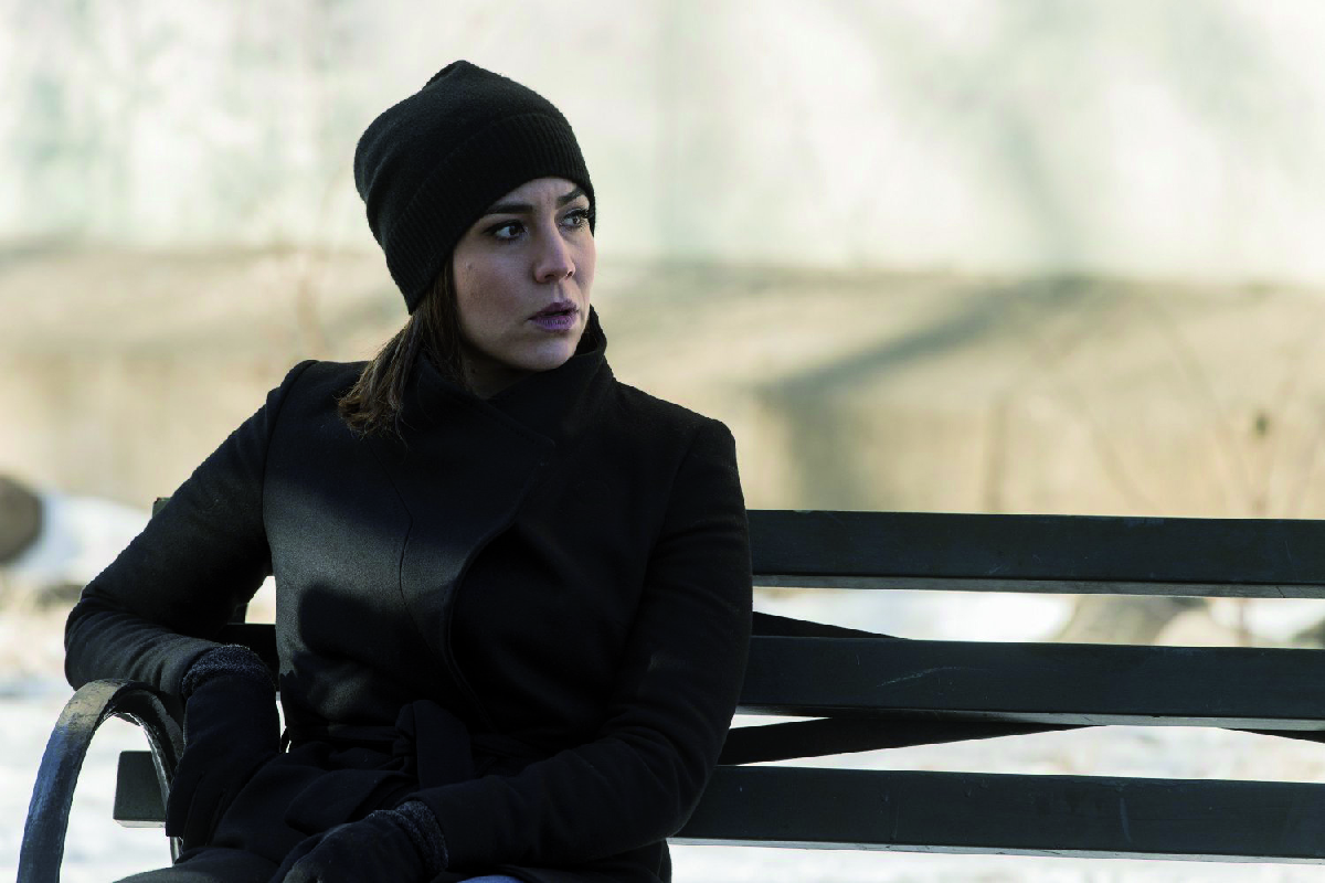Blindspot-Abile imbroglione