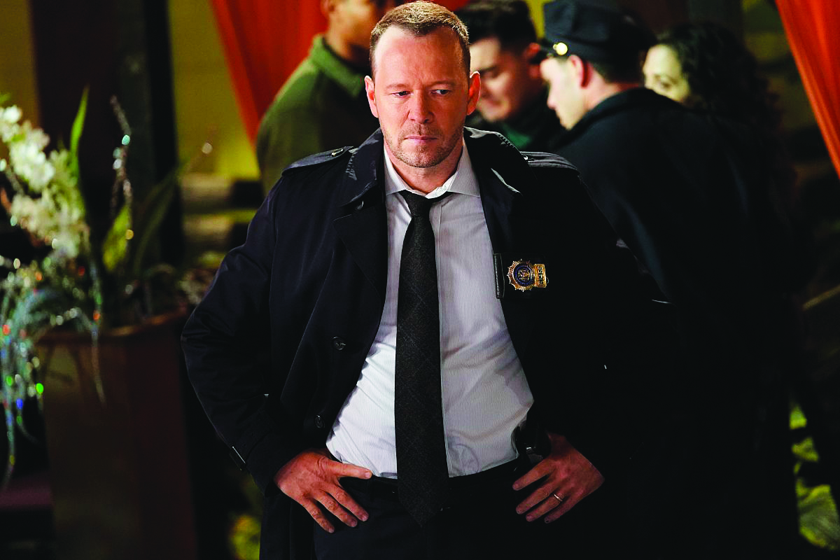 Blue Bloods-Antidolorifici