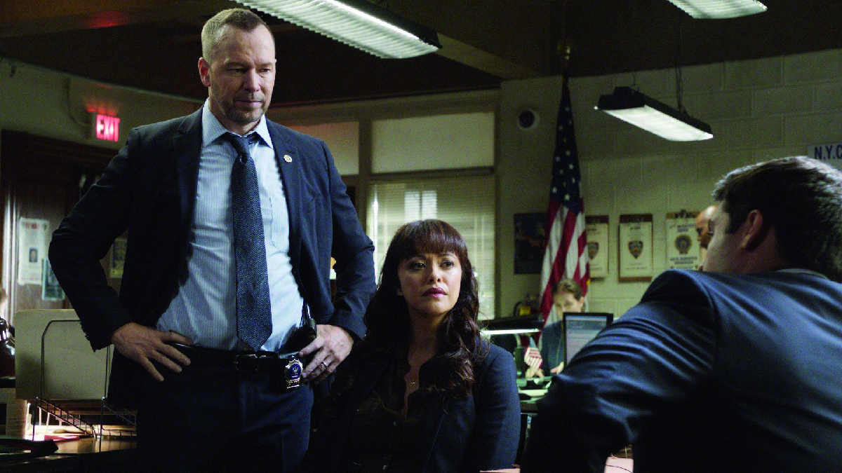 Blue Bloods-Cancellare la storia