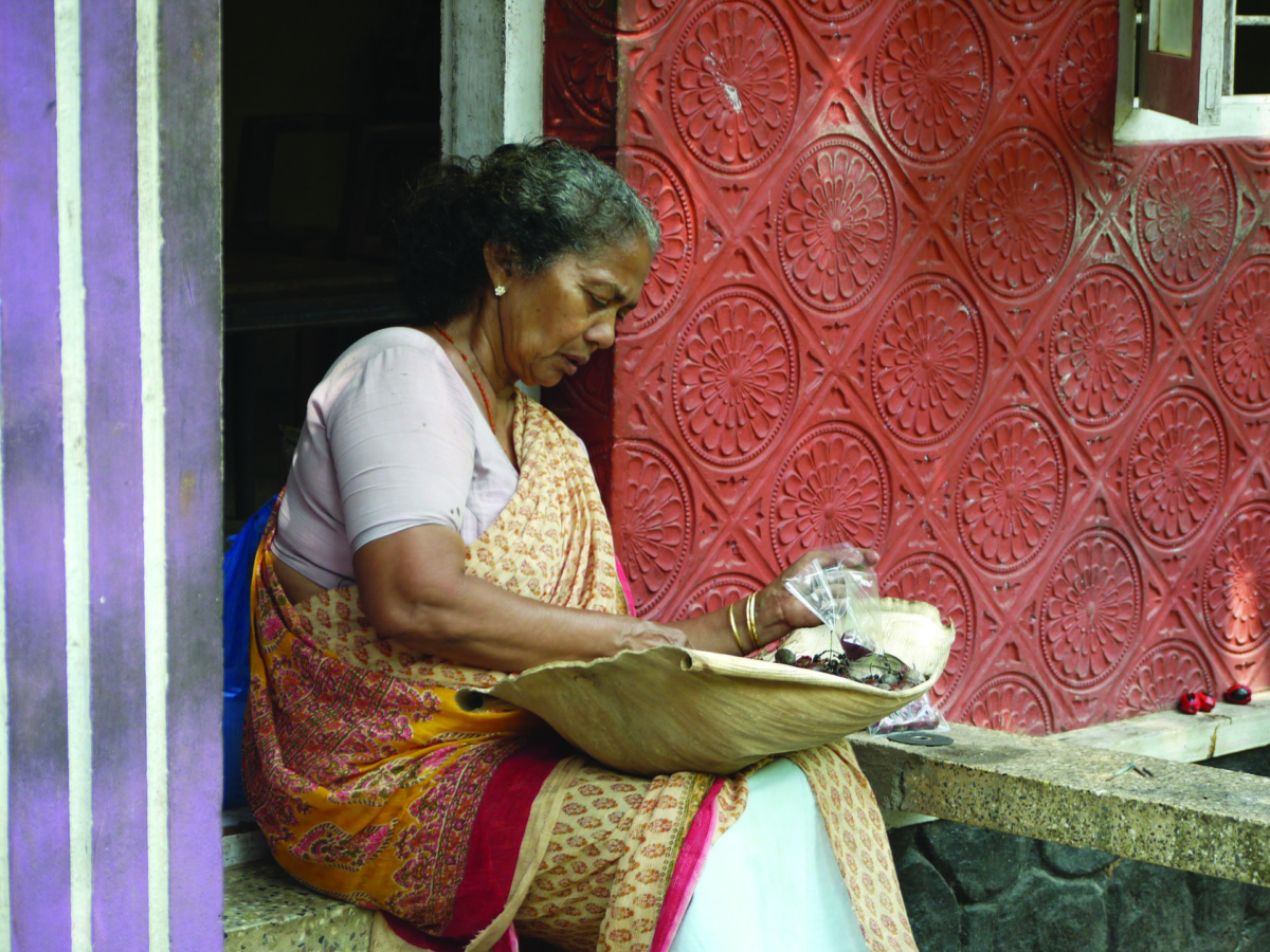 Overland 19 - Le vie dell'India