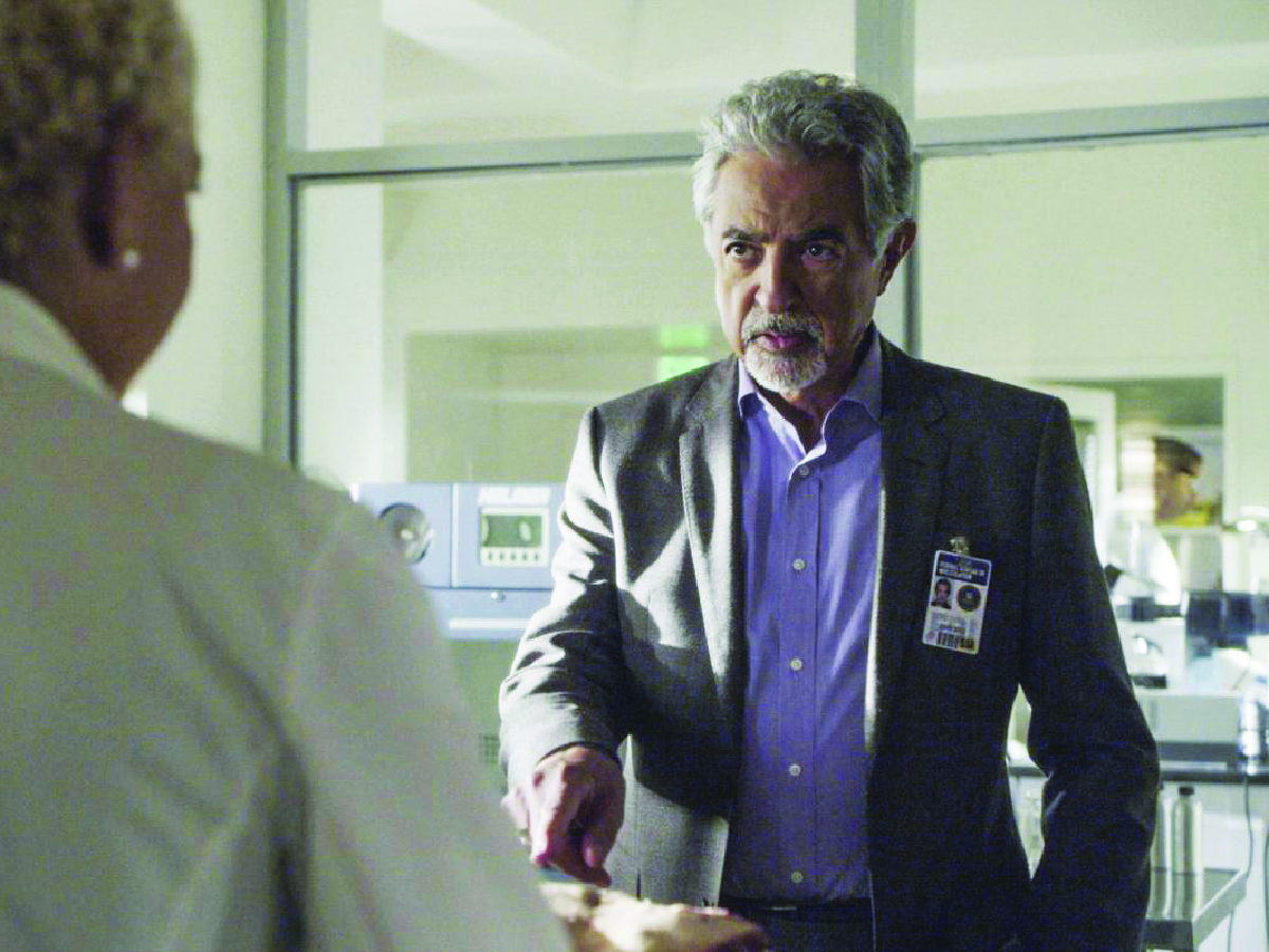 Criminal Minds-Regola 34