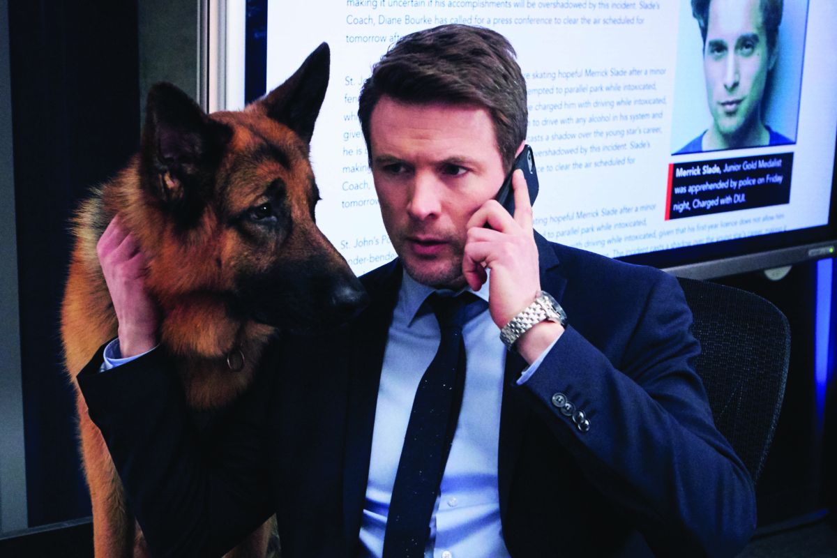 Hudson & Rex-La caccia