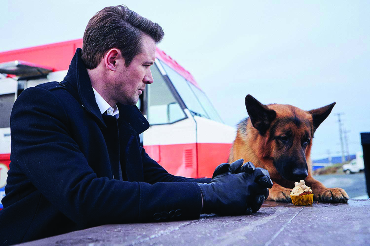 Hudson & Rex-Un caso intricato