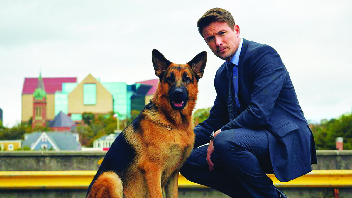 Hudson & Rex-Concorrenza sleale