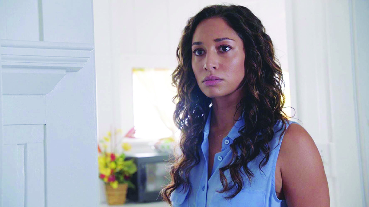 Hawaii Five-0-Amicizia