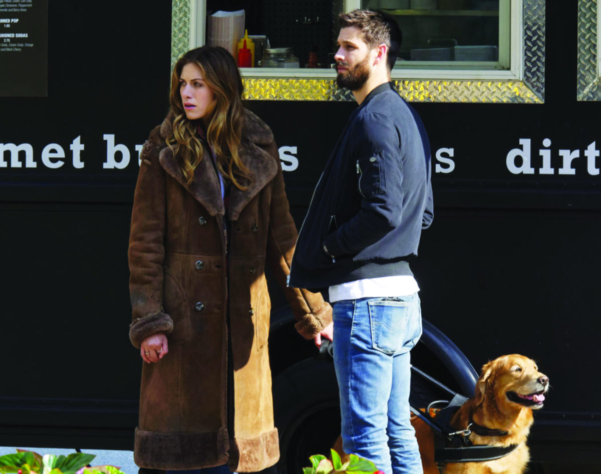 In the Dark-Bail's in Your Court