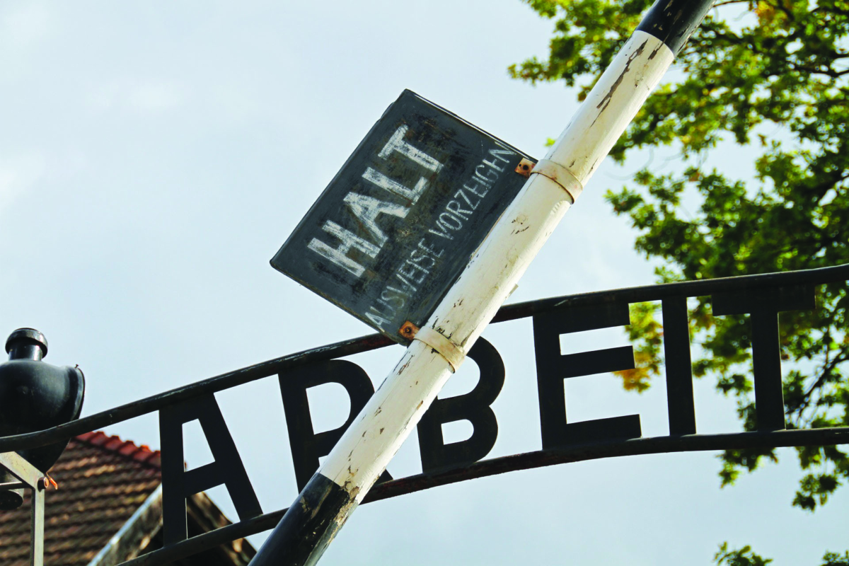 999, le ragazze dimenticate di Auschwitz 