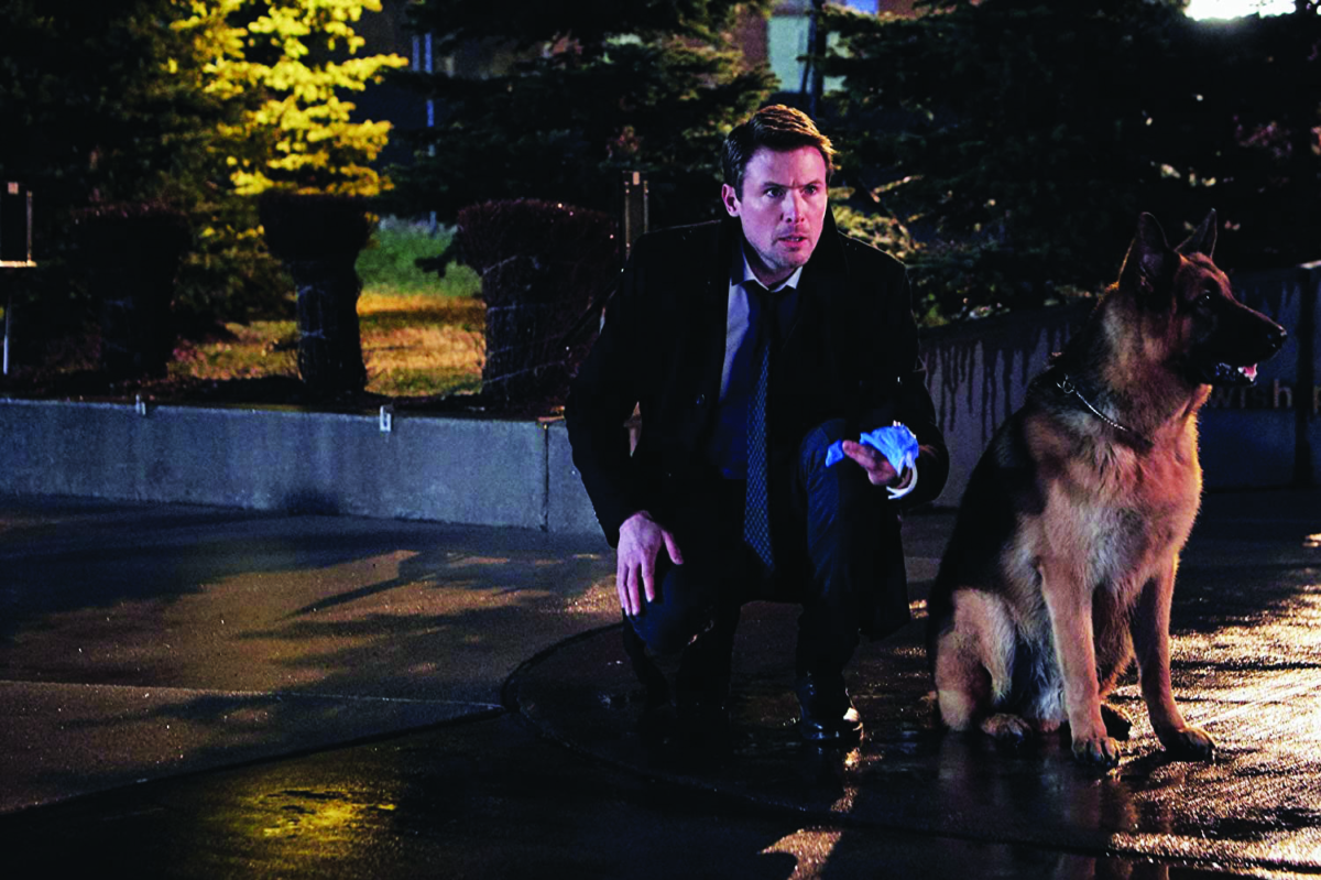 Hudson & Rex-Strani fenomeni