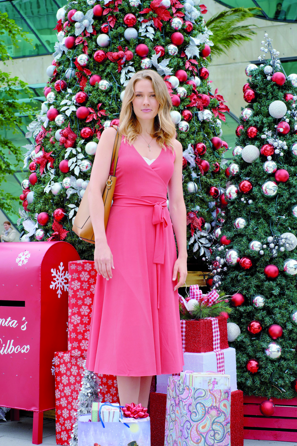 La stella del Natale