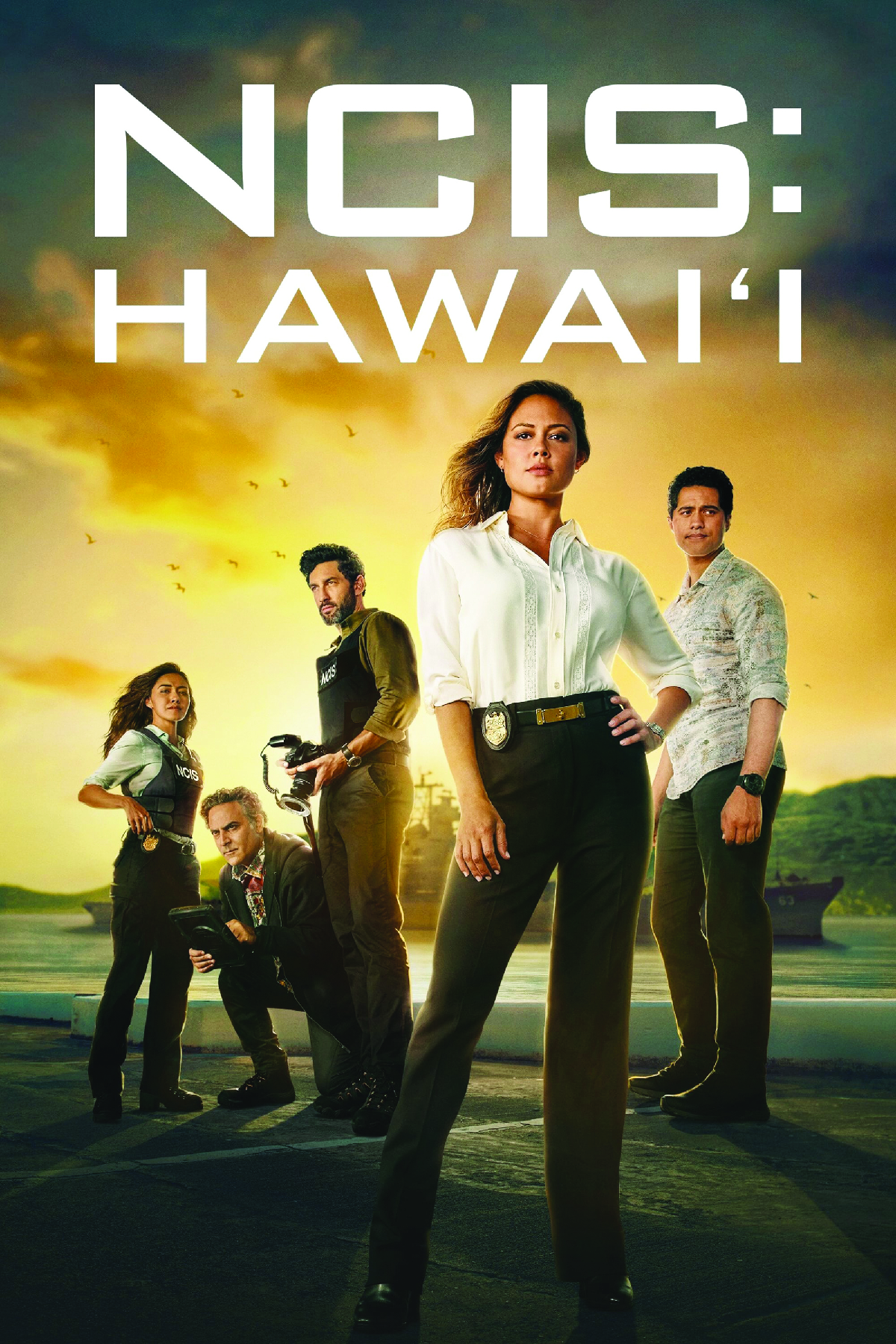 N.C.I.S.: Hawai'i-Doppia colpa
