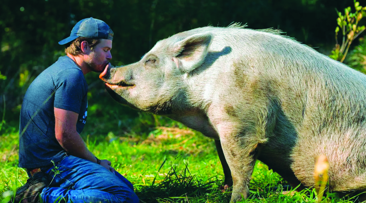 La mia vita è una fattoria