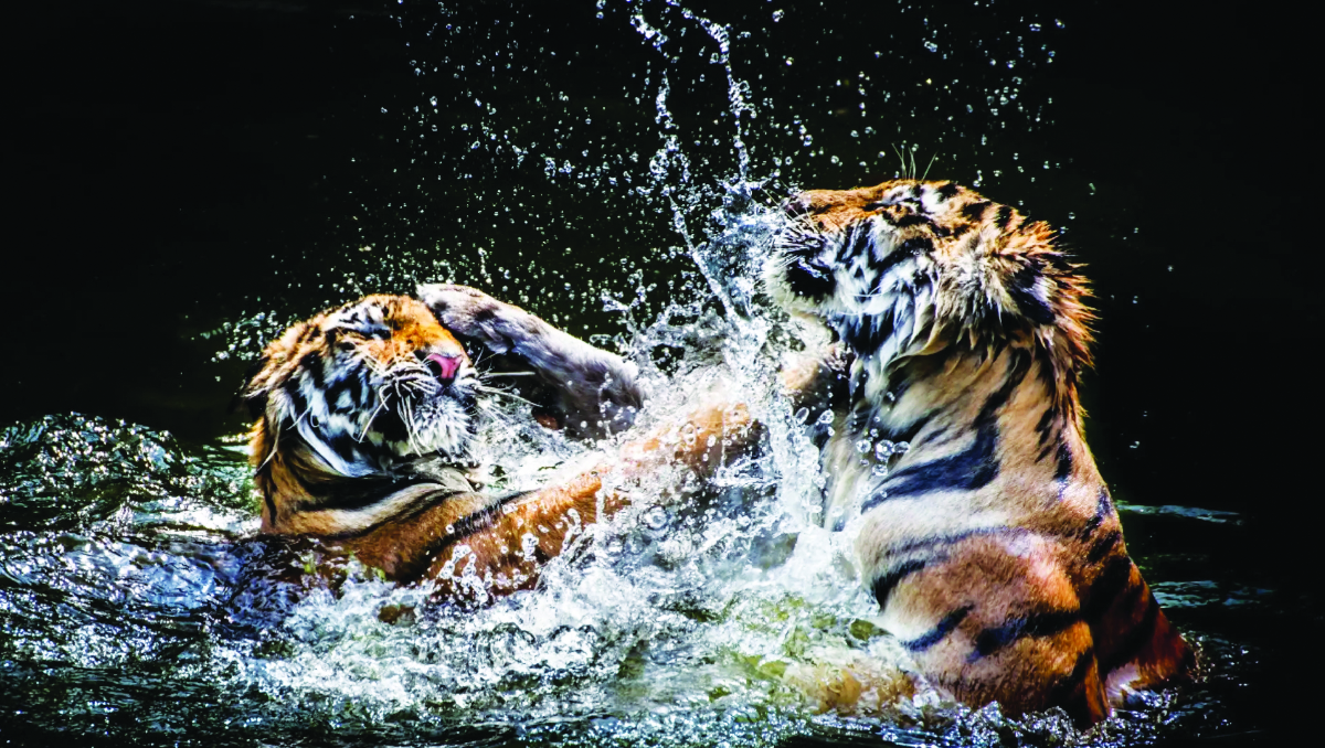 Vivi, morti, o estinti