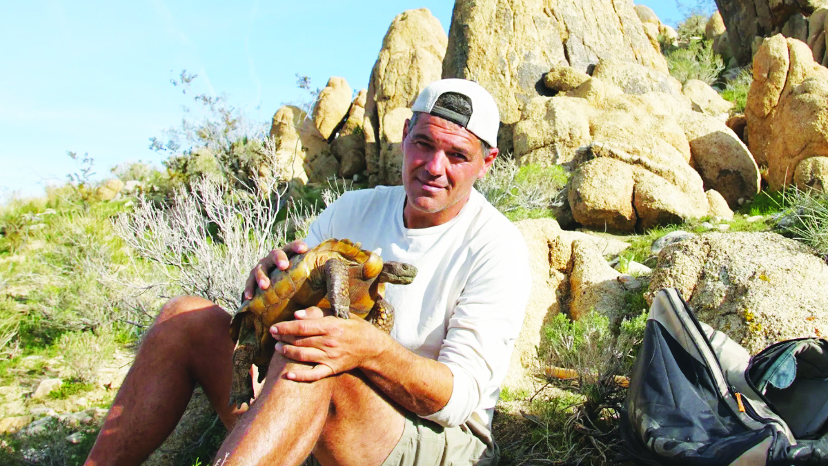 Wild Frank in California