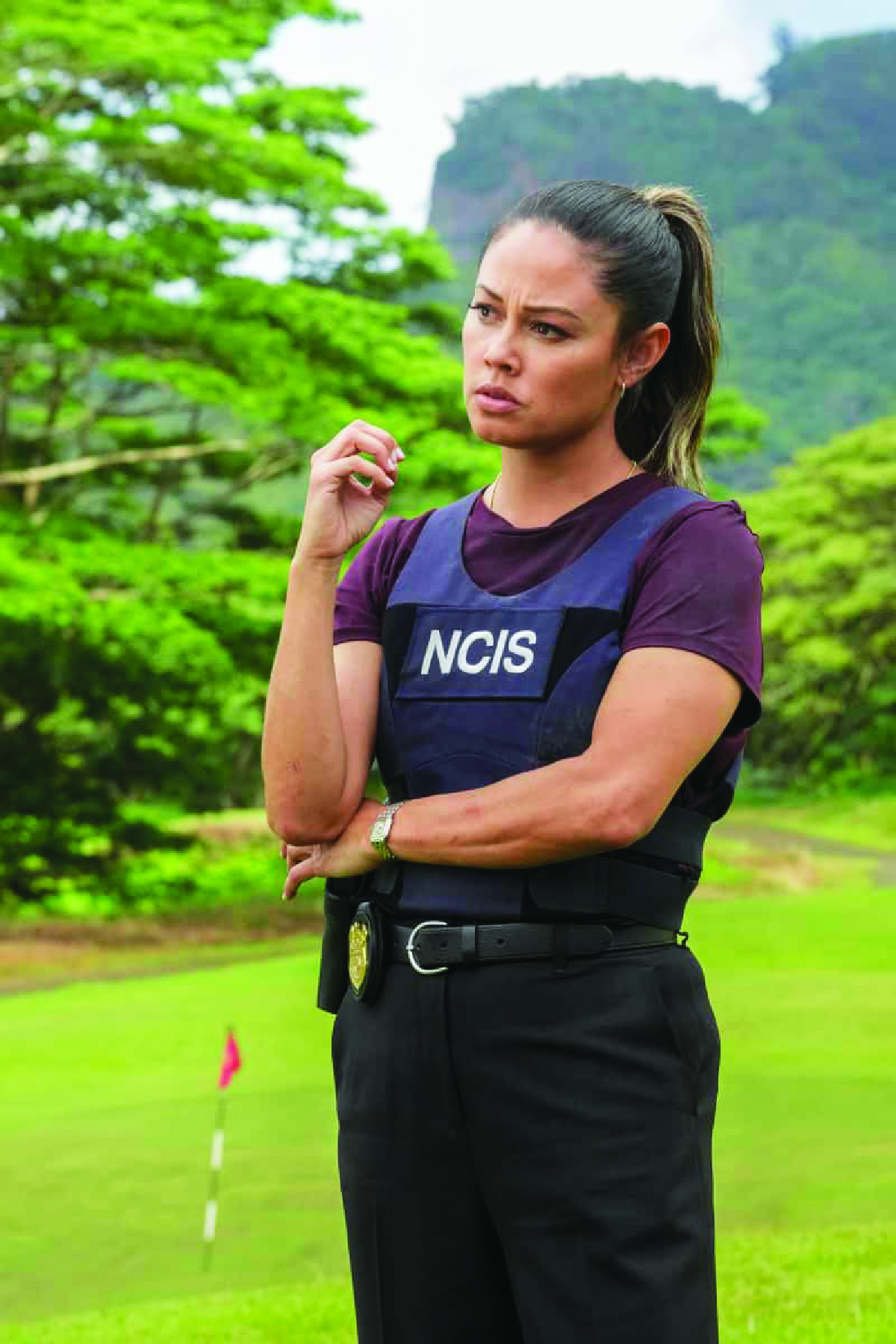 N.C.I.S.: Hawai'i-Doppia colpa
