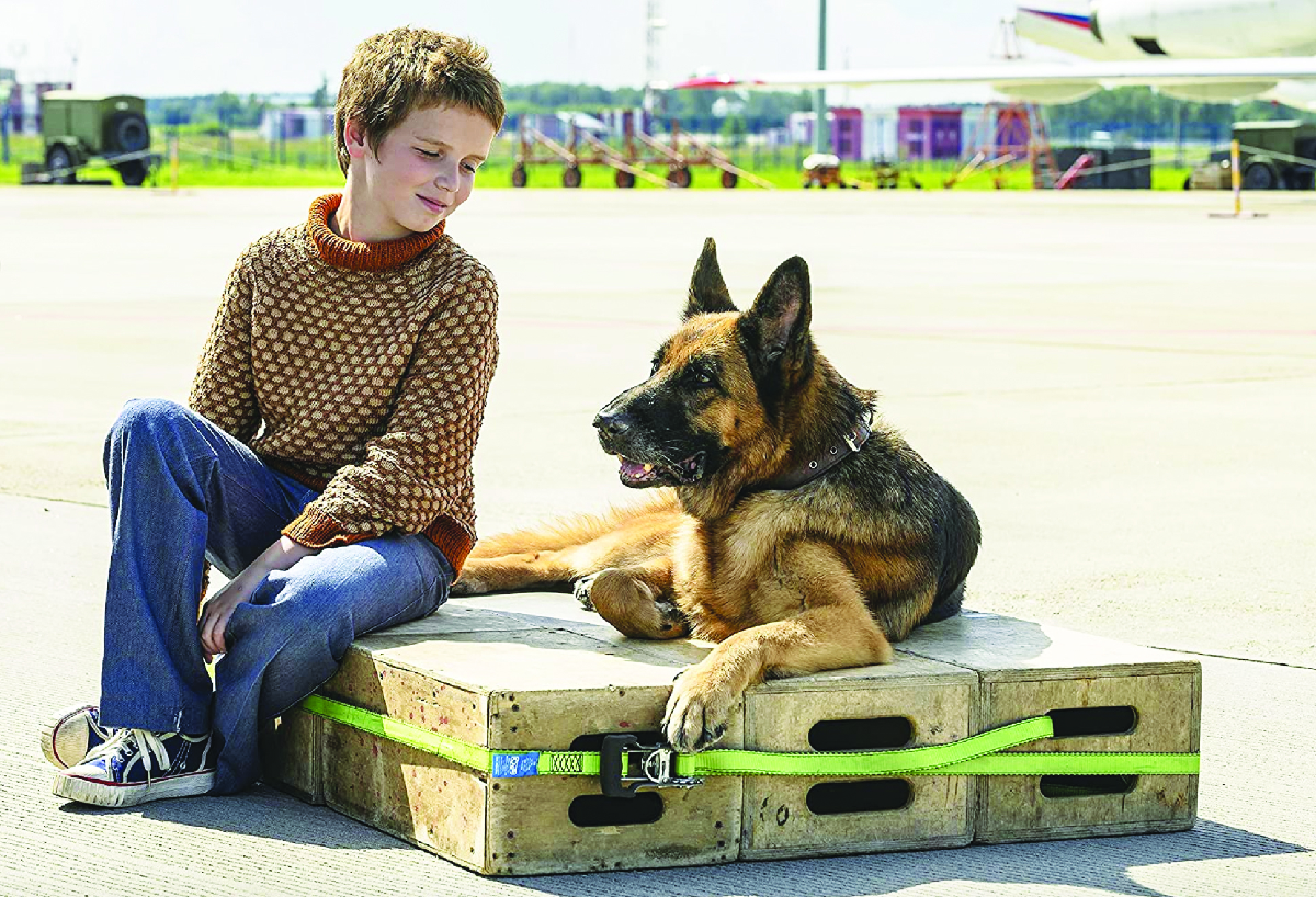 Palma un amore di cane