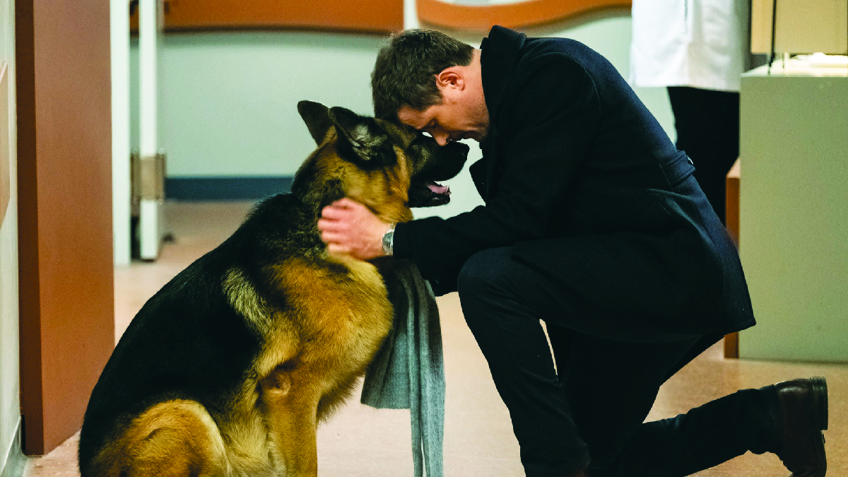 Hudson & Rex-Un nuovo inizio