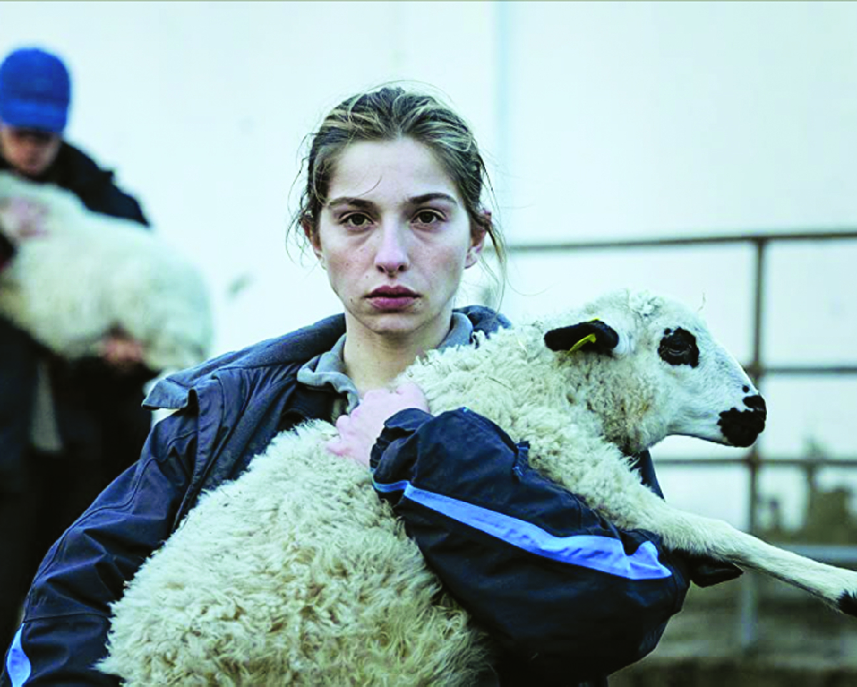 As bestas - La terra della discordia