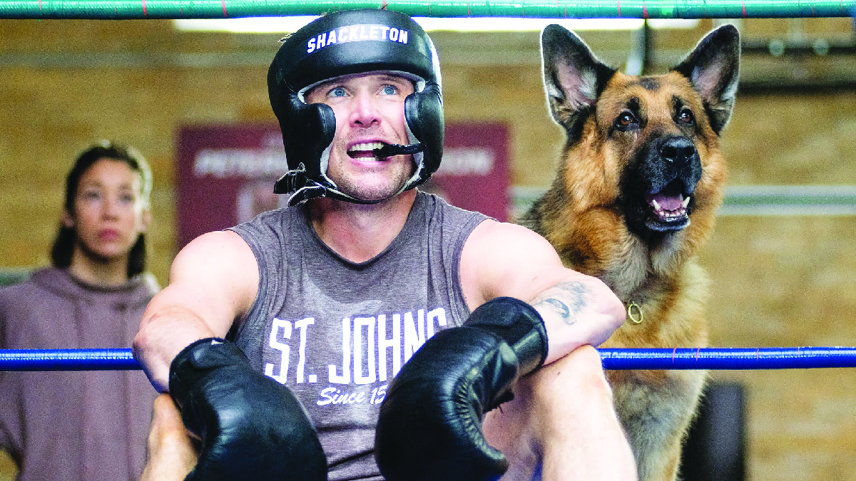 Hudson & Rex-Colpo mortale