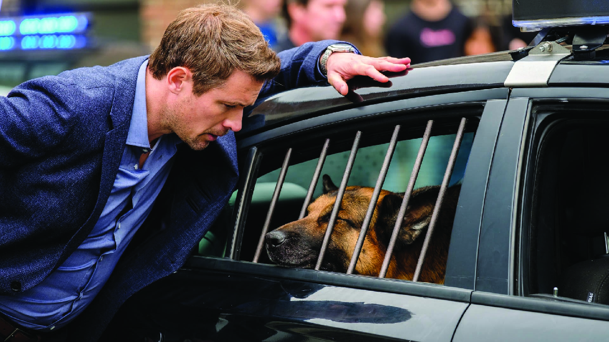 Hudson & Rex-Il buon pastore