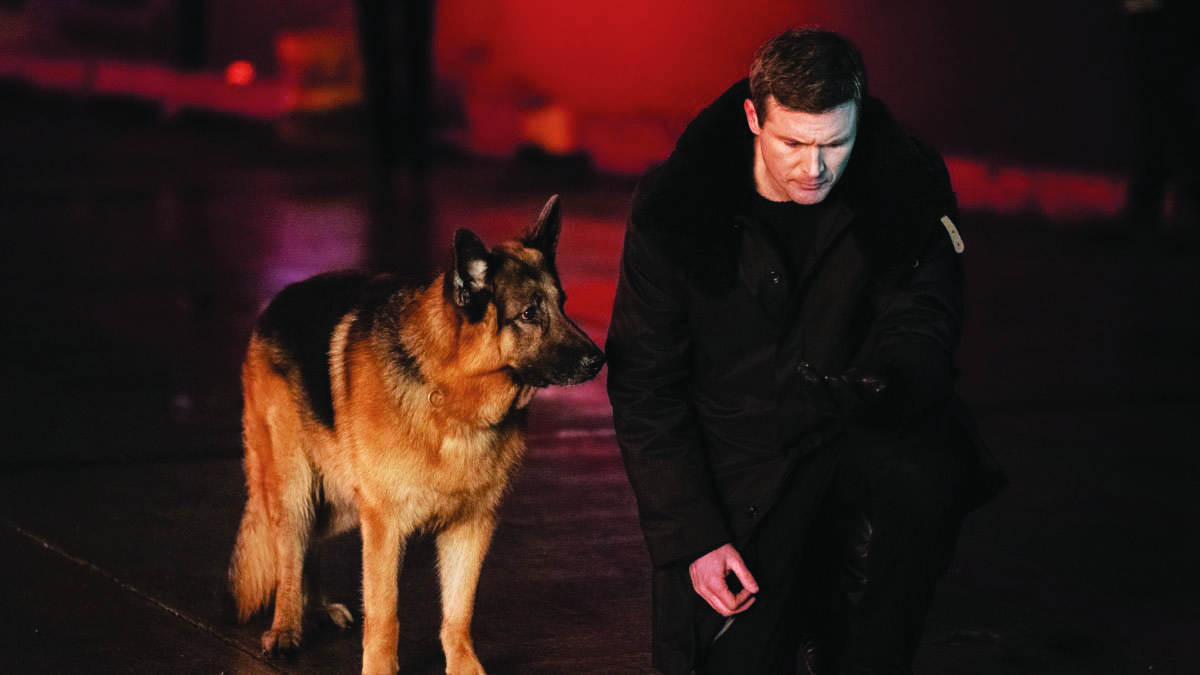 Hudson & Rex-Per la strada