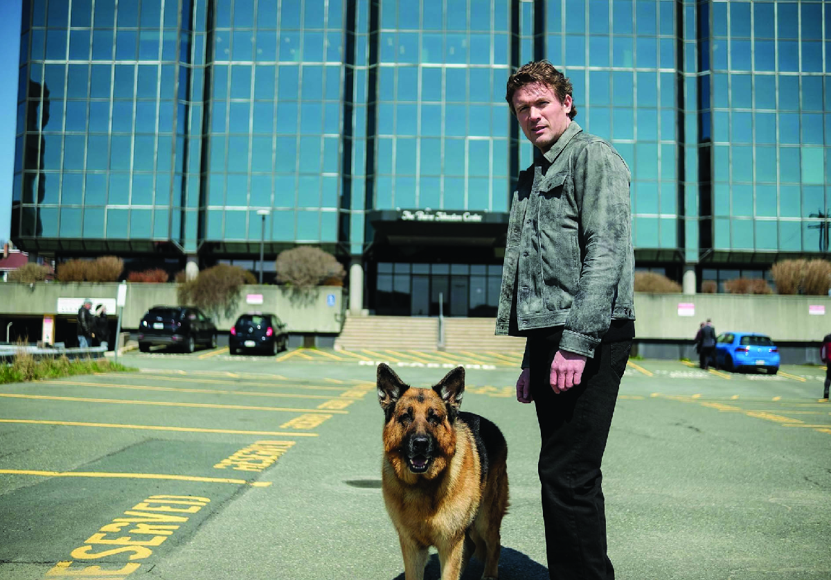 Hudson & Rex-L'ora del cane