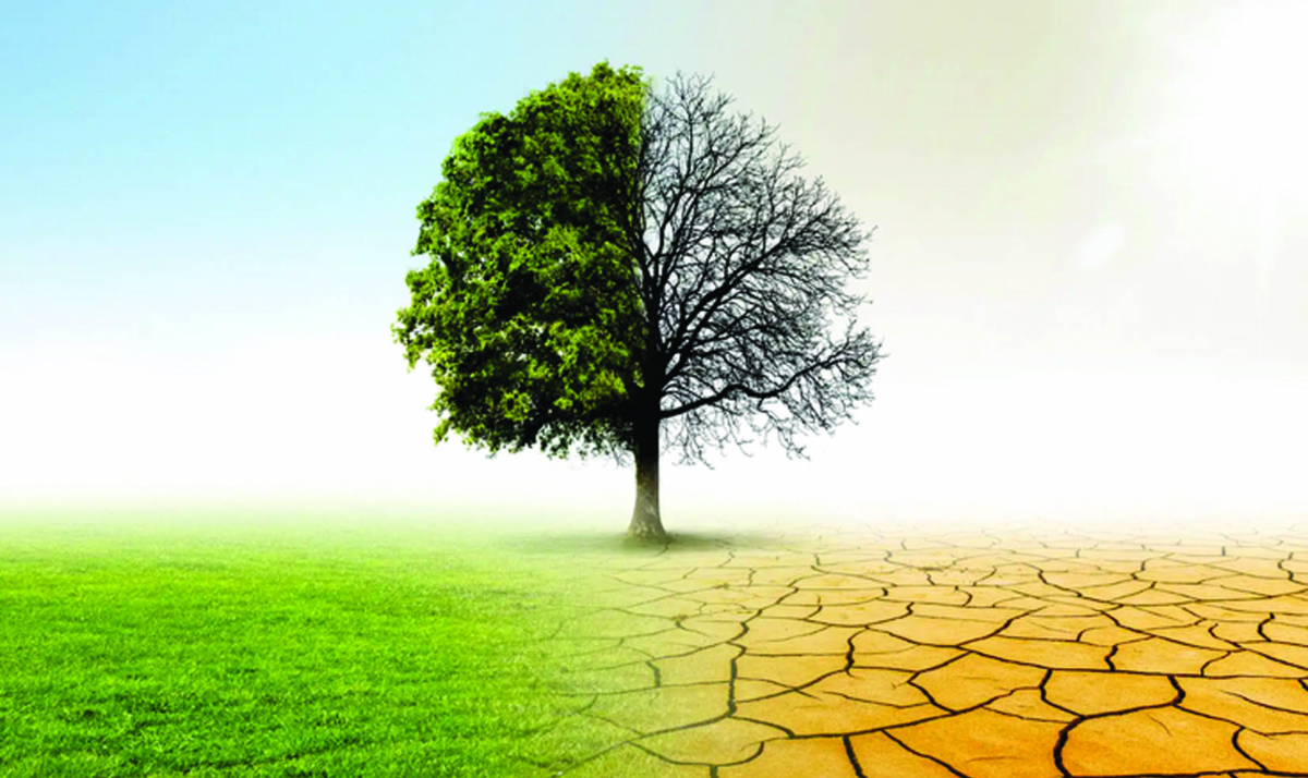 Di là dal fiume e tra gli alberi