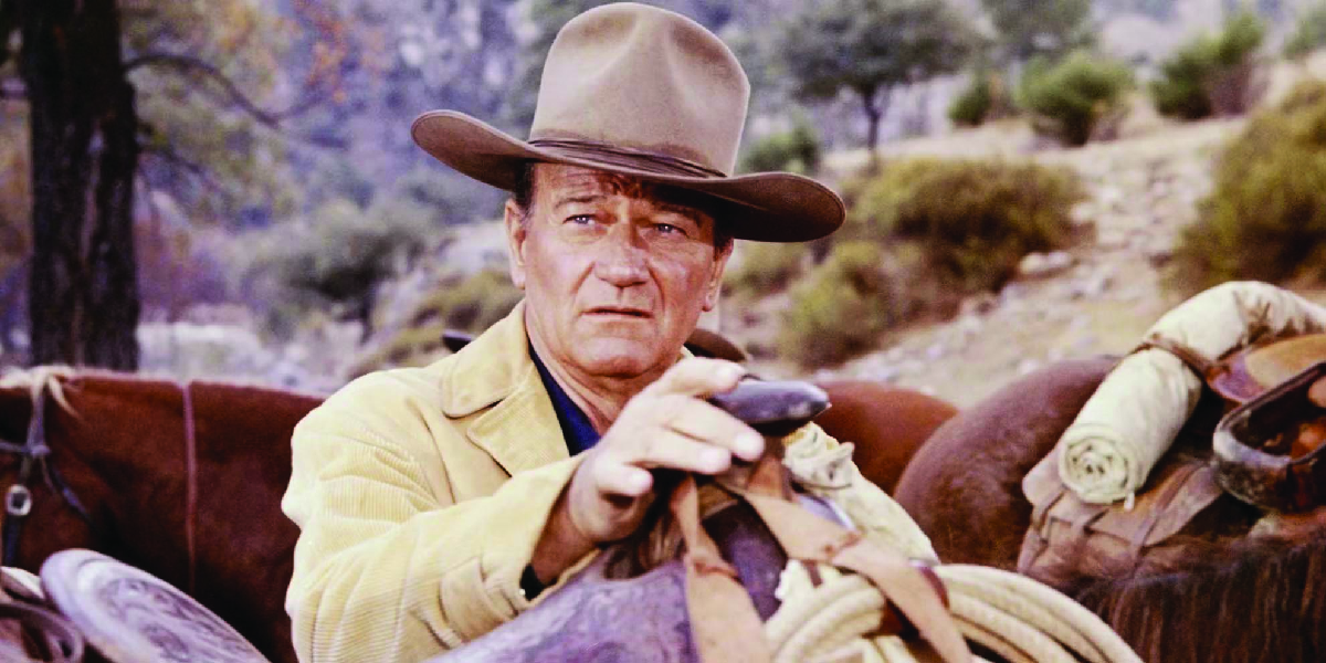 I quattro figli di Katie Elder