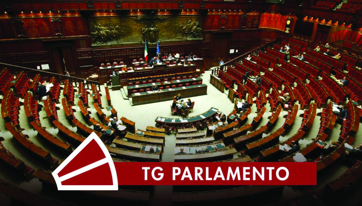 Rai Parlamento Telegiornale